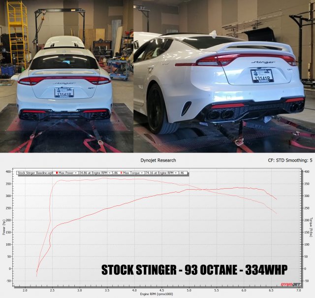 Stock Stinger Baseline Banner.jpg