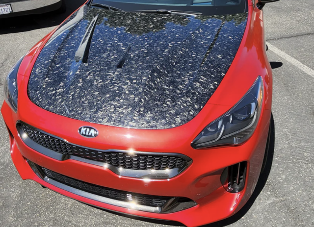 Legato Carbon Fiber Hood.png